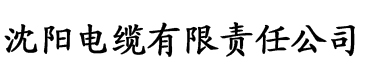 香蕉视频麻豆电缆厂logo